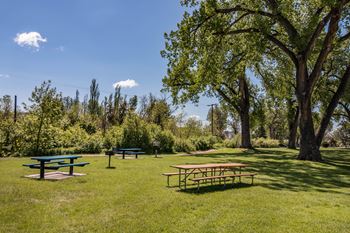 Picnic area